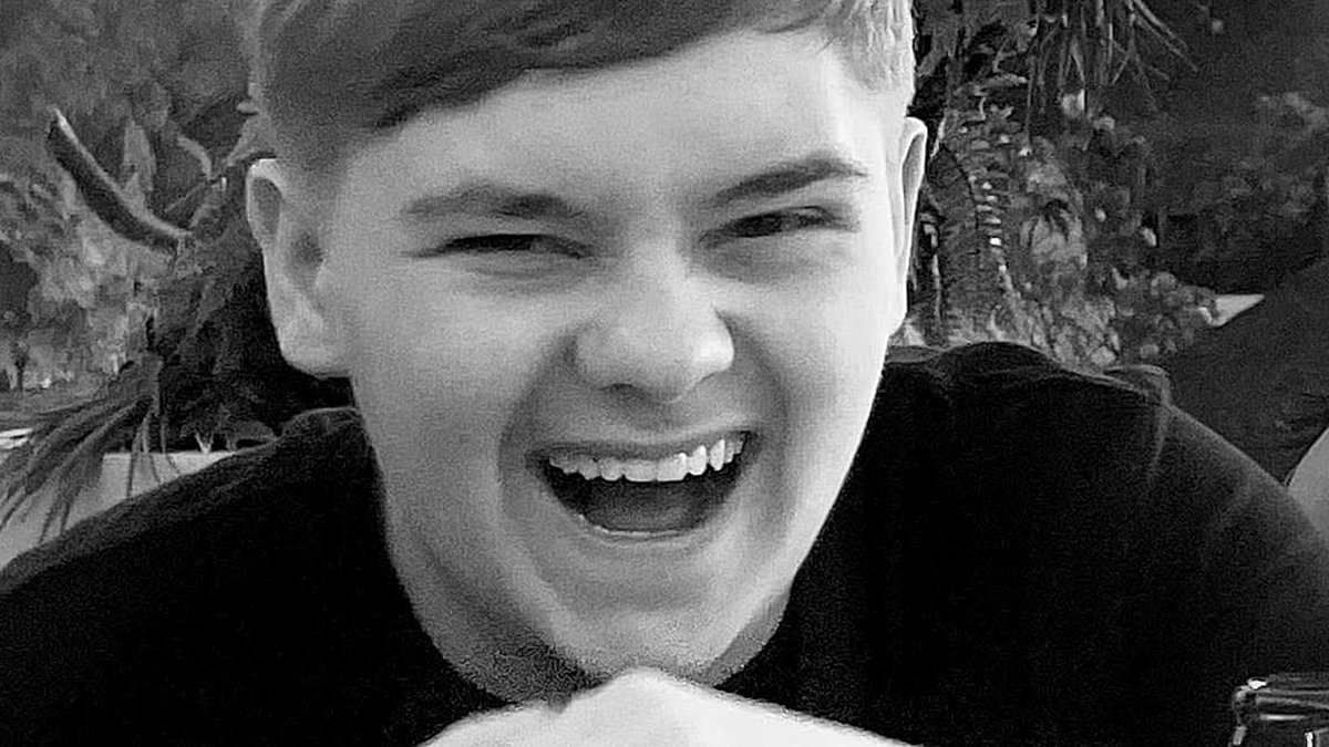 Schoolboy, 15, stabbed Harvey Willgoose with a five-inch hunting knife before declaring 'I'm not right in the head', court hears