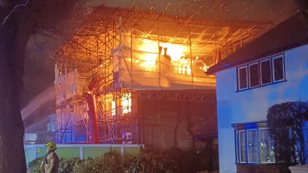 Multimillionaire couple sue insurers for £1m over fire that 'engulfed' their £2m house and £300k watch collection - after firm refused to pay out because they'd failed to declare building work