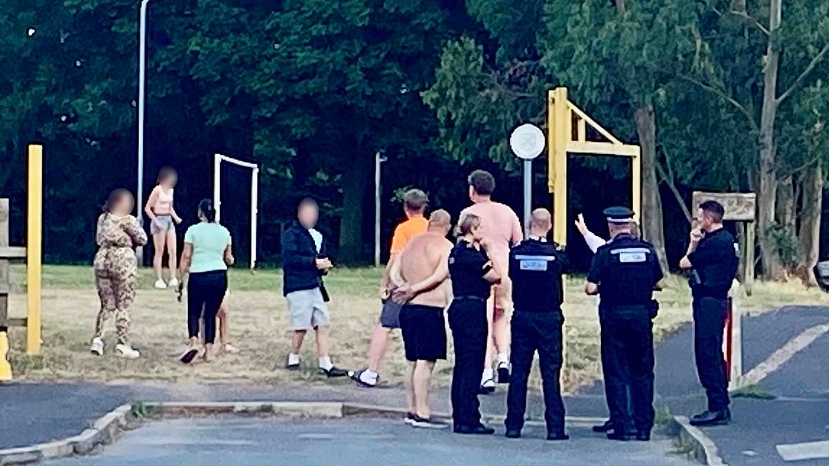 Travellers terrorised families with drills and threatened to burn down their homes after they ask them to leave a park