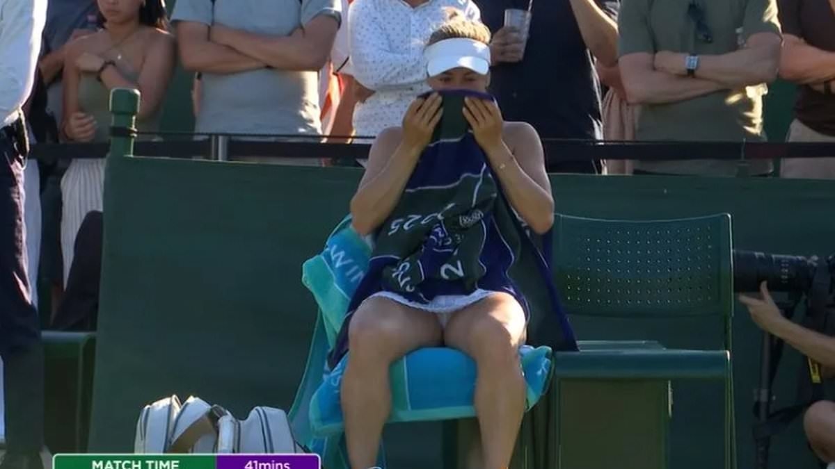 Revealed: The reason why distressed Wimbledon star Yulia Putintseva wanted 'crazy' and 'dangerous' fan ejected
