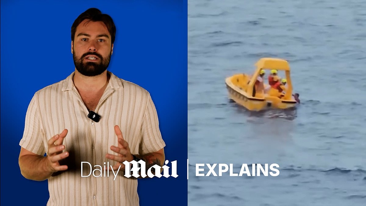 DAVID AVERRE explains how Disney cruise ship horror unfolded after girl fell overboard prompting her father to jump in and rescue her