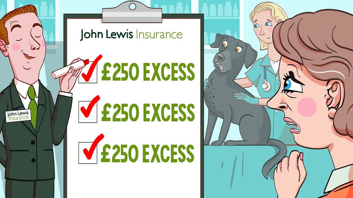 Pet insurer charged £250 excess THREE times after our black labrador's single operation: SALLY SORTS IT