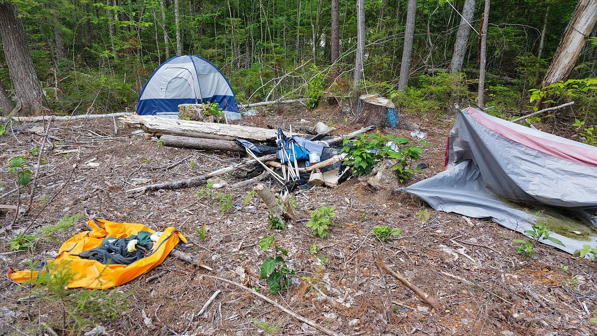 Police and rangers will target 'aggressive campers' in Cairngorms crackdown
