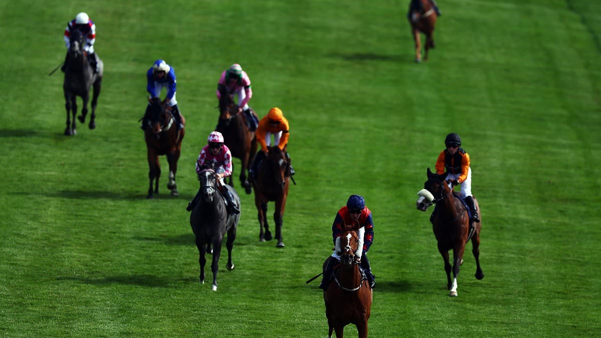 Robin Goodfellow's racing tips: Best bets for Wednesday, July 2