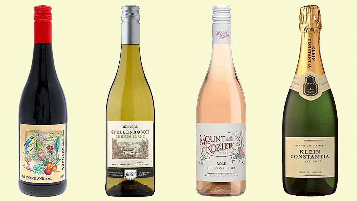 Our wine expert reveals her pick of the best South African summer wines