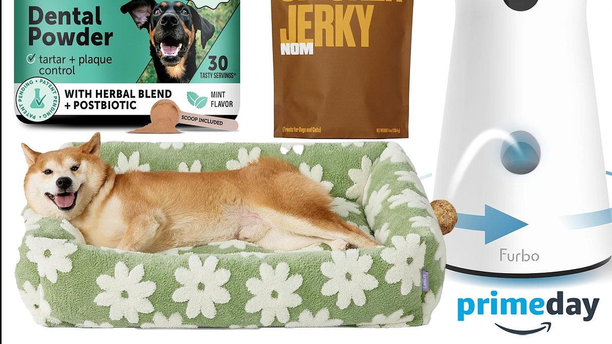 I'm a proud dog mom - are the 12 BEST Prime Day deals I'm adding to cart for my pup