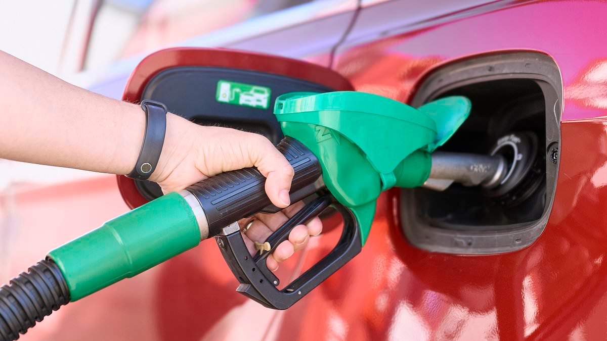 Amazon Prime members can save $1 per gallon of gas