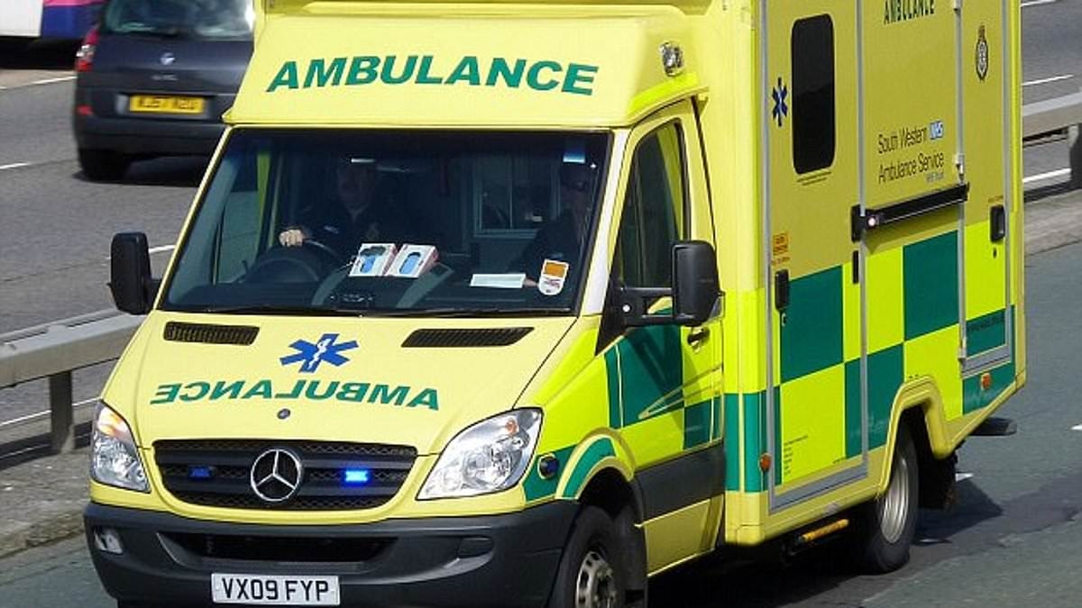 Boy, three, who died of sepsis would have got to hospital earlier if 111 operator graded calls life-threatening, inquest hears