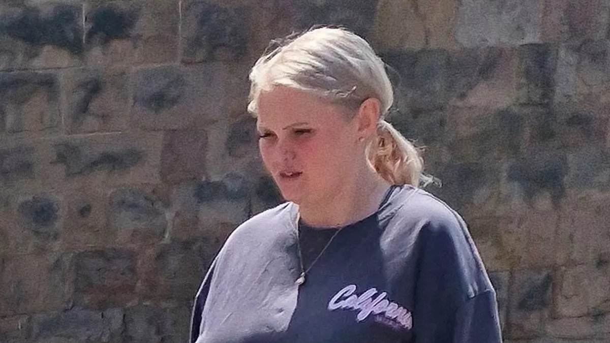 'XL Bully' owner whose dog bit a nine-year-old girl's face walks free from court - and hound returns home