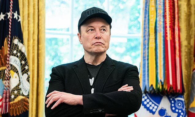 Opinion: Where Musk may have to flee to if Trump deports him