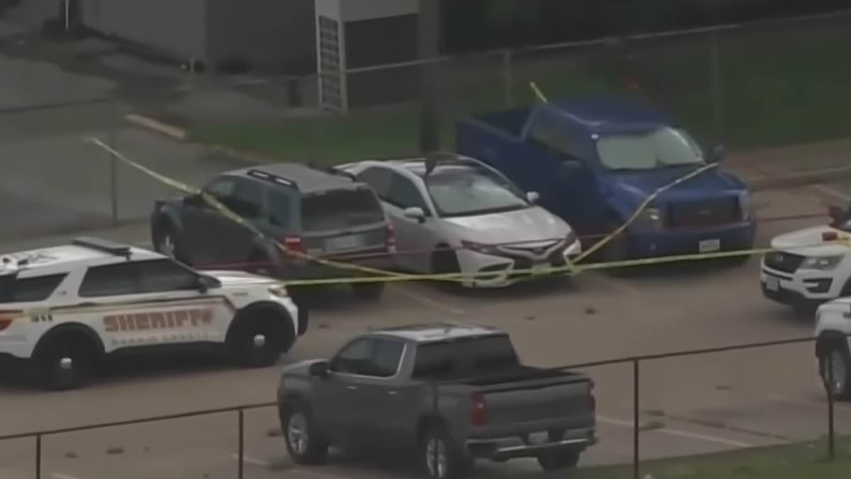 Girl aged NINE bakes to death in roasting car after mom left her with snacks and water while she worked