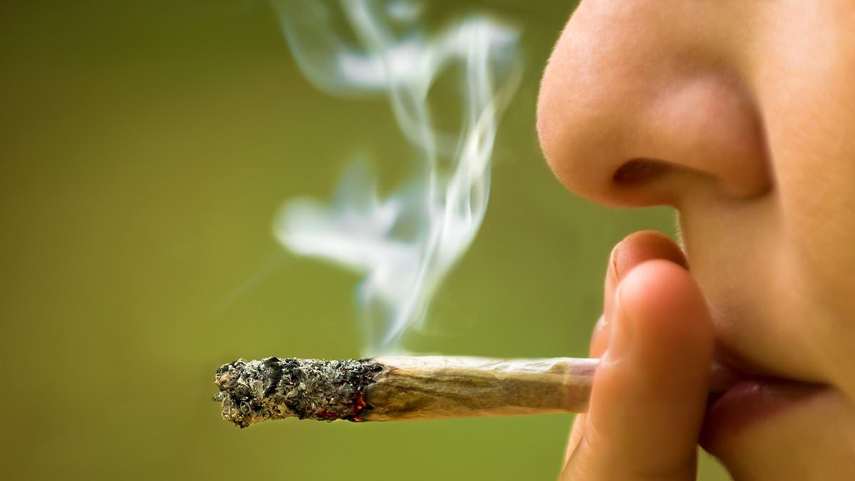 Legalising cannabis gets the green light from growing number of Aussies