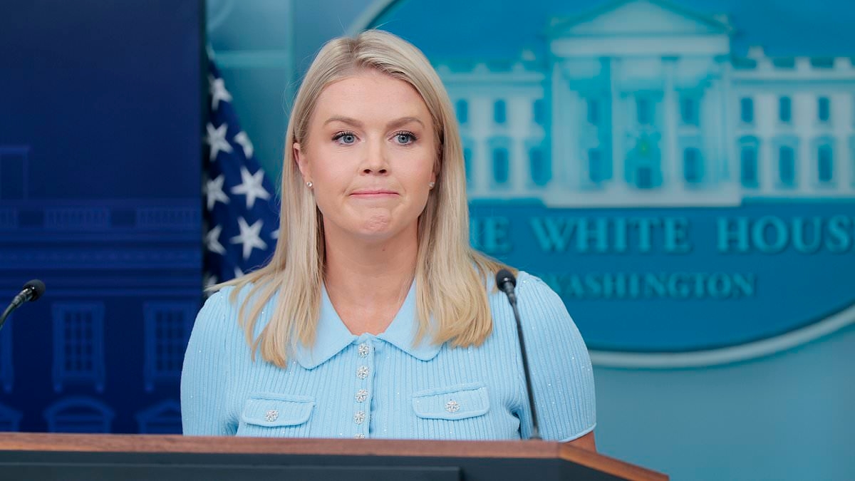 EXCLUSIVE The controversial MAGA star that Trump floated for Karoline Leavitt's job... and why she didn't get the gig