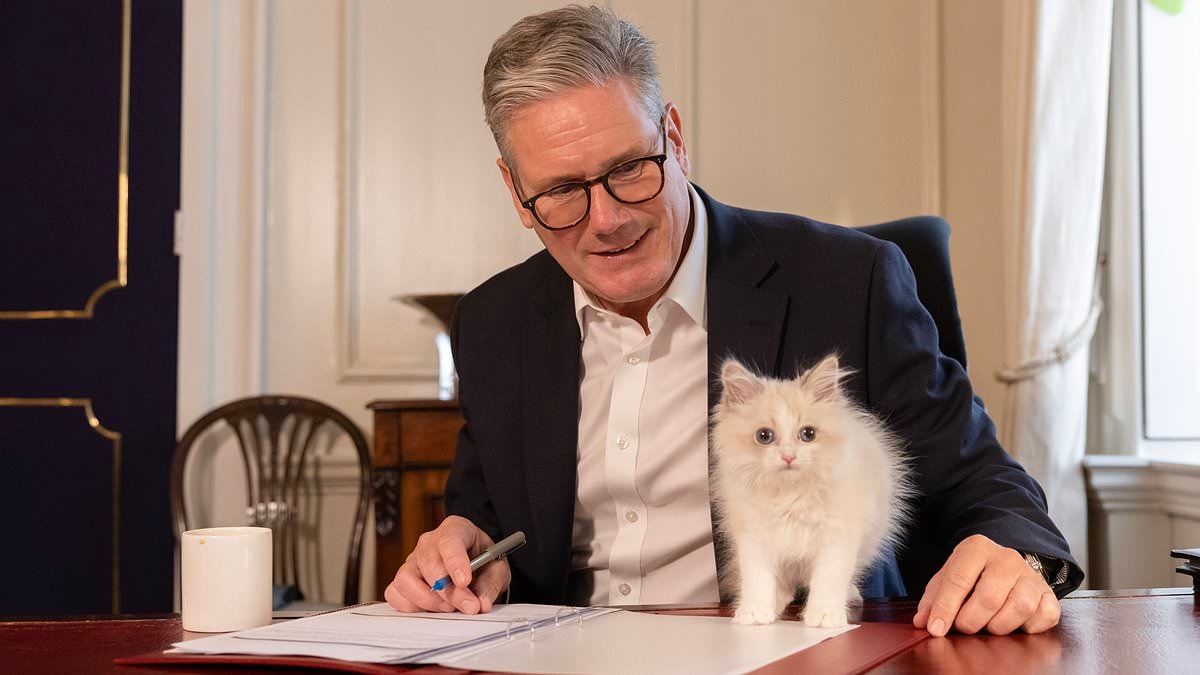 An entrance fit for a Prince: Keir Starmer reveals he has fitted a 'cat ramp' in Downing Street so the family pets can sidestep bomb-proof door