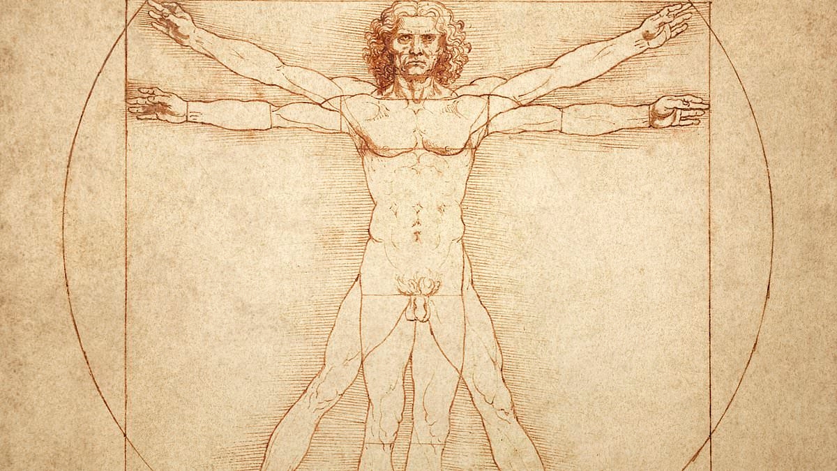 The real Da Vinci Code is SOLVED after 500 years: Dentist cracks geometric secret hidden in Vitruvian Man