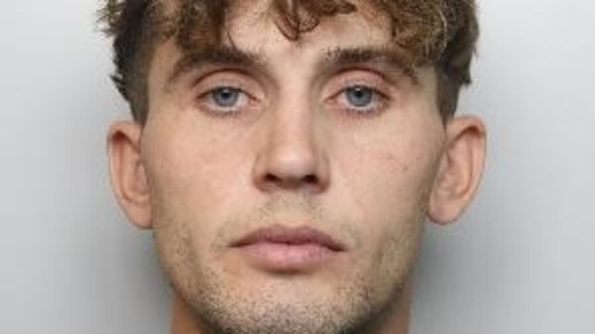 Engineer who told followers 'burn any hotels' in social media post after Southport killings is jailed