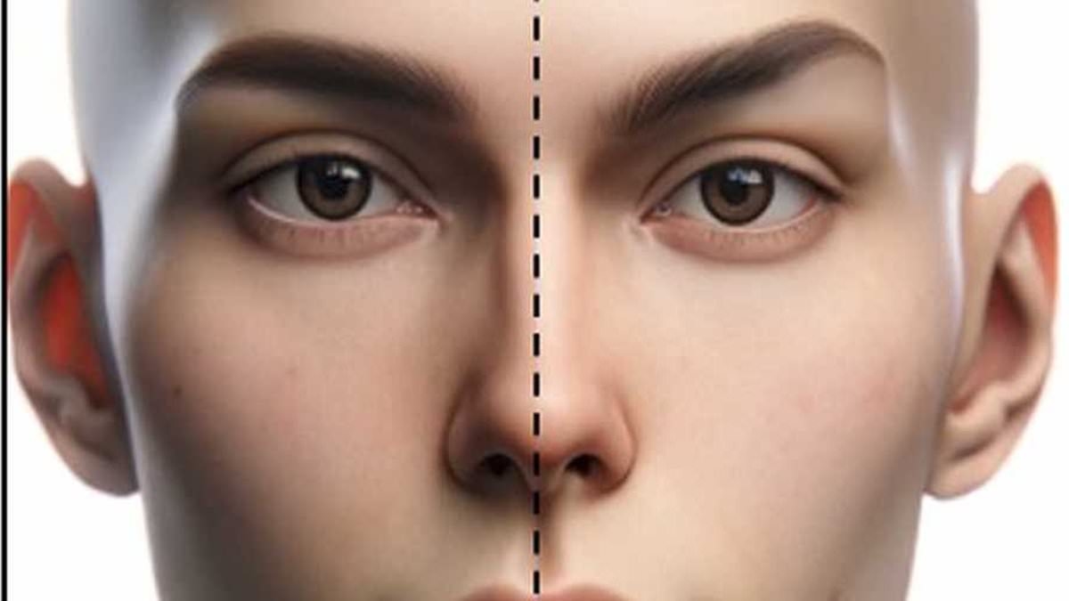 The perfect EYEBROWS, according to science - and why Katie Price gets it so wrong