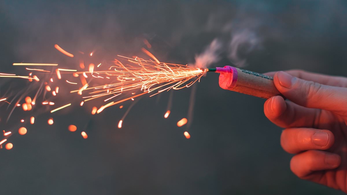Disturbing X-rays reveal fireworks horror ahead of the 4th of July