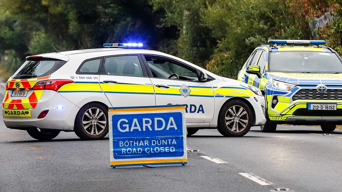 Woman in her 20s dies day after crash that killed girl, six, and injured two others
