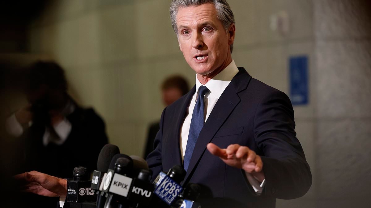 Gavin Newsom drops biggest hint yet that he's running for president in 2028
