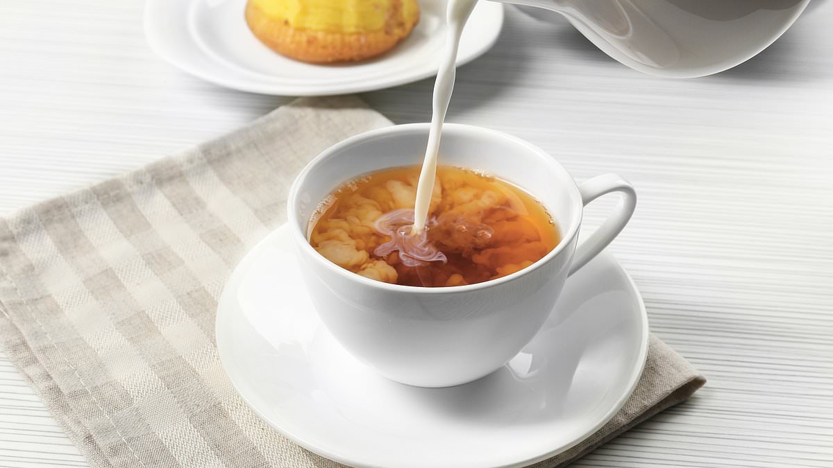 Milk first or last? Experts FINALLY settle the great tea debate - so, do you agree with their method for a perfect cuppa?