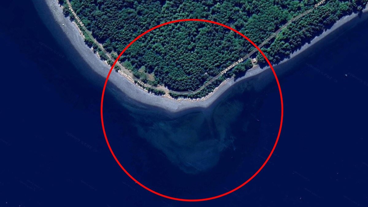 'Alien visitors' theory as Net goes wild for 'skull' lurking off Canadian island