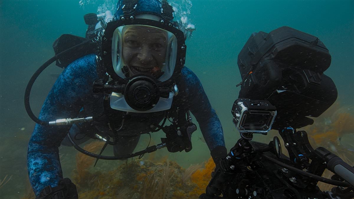 EXCLUSIVE I made a whole documentary tracking down a great white shark to swim with - here's why when I finally found one I had to give up my dream