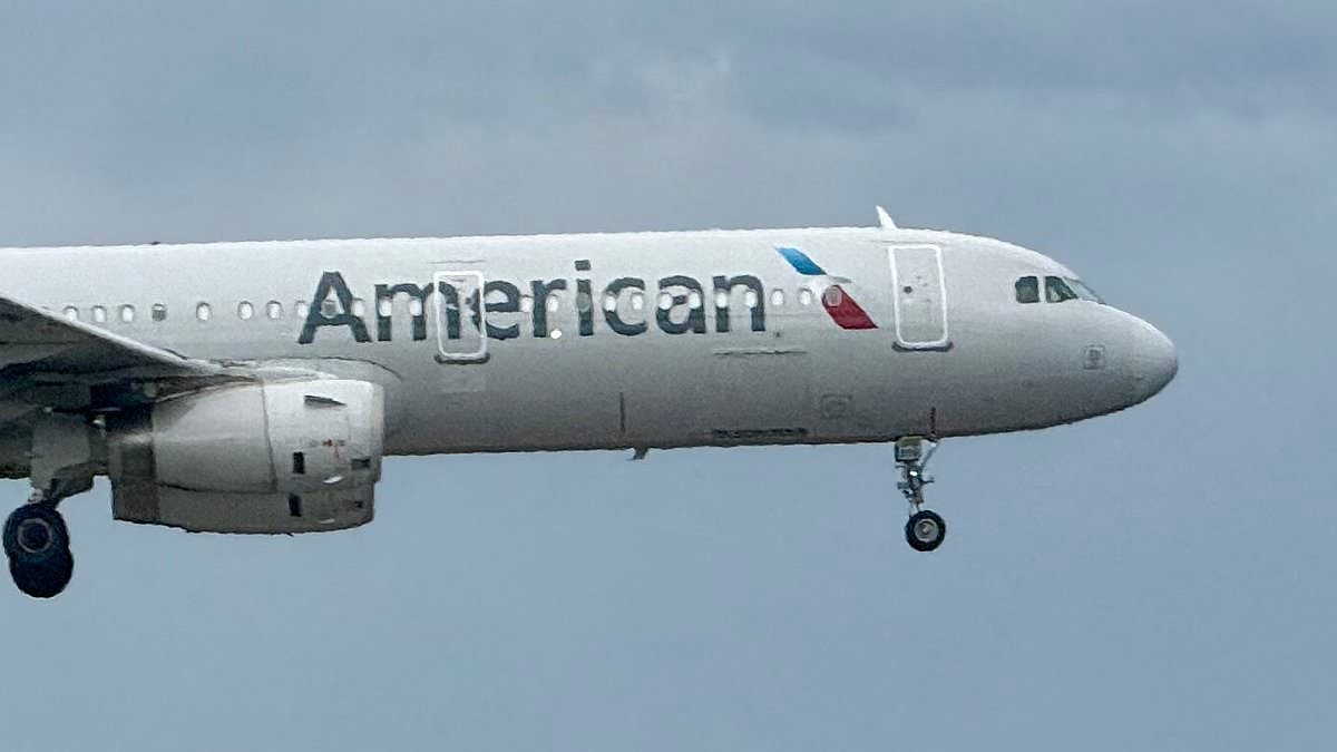 American Airlines flight is diverted mid-air after passenger freaks out over neighbor's text message