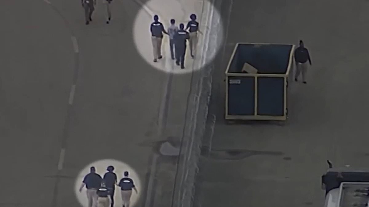 First 'Alligator Alcatraz' inmates arrive at new detention facility...amid warnings the predator-filled area is on verge of flood