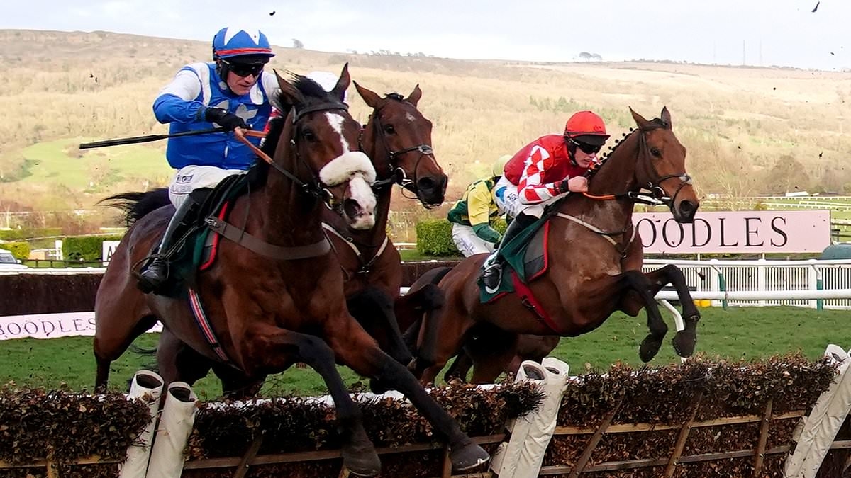 Robin Goodfellow's racing tips: Best bets for Saturday, July 5
