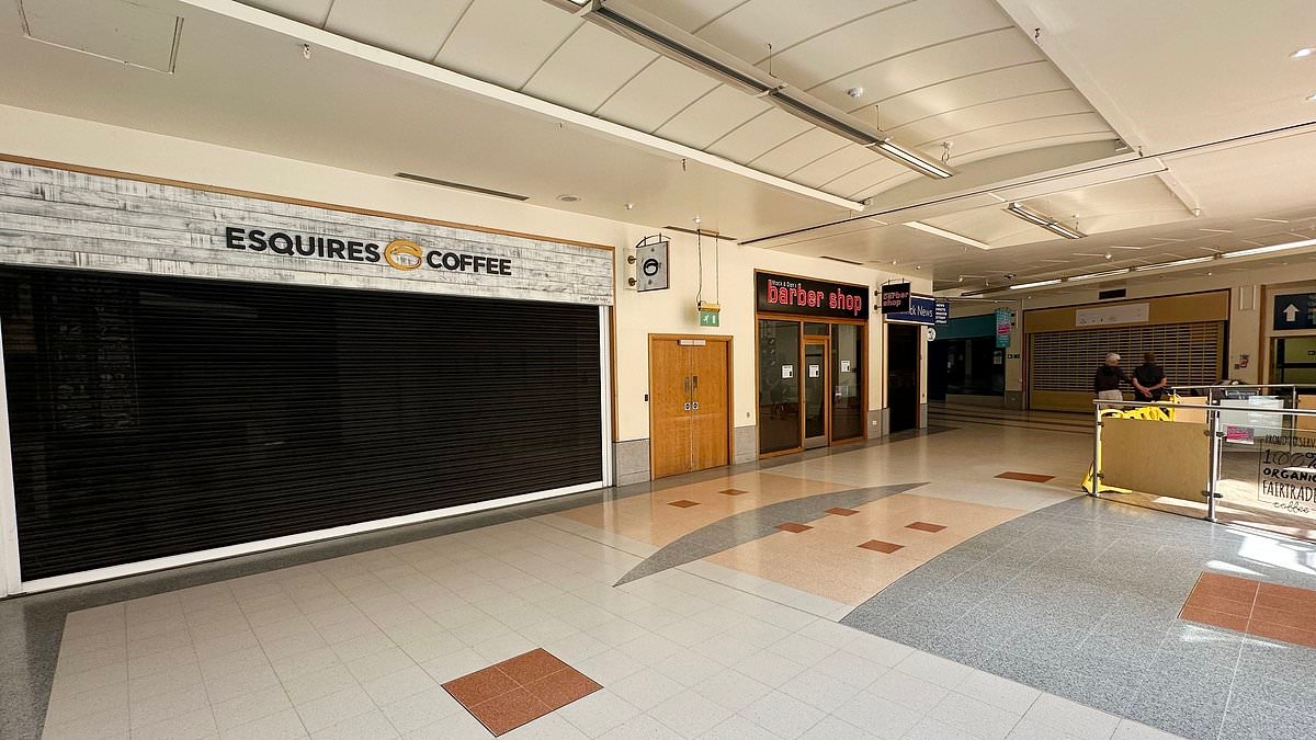EXCLUSIVE Is THIS Britain's saddest seaside shopping centre? Locals say the once-bustling mall is now a 'ghost town' with just three shops left open and addicts prowling the precinct