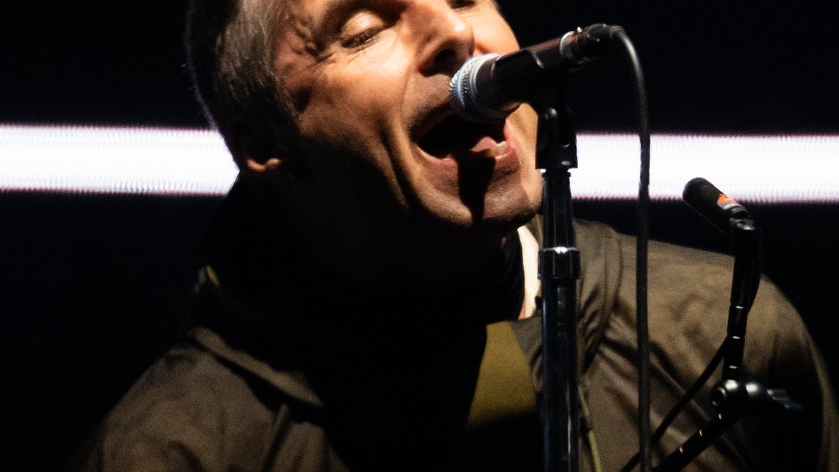 Oasis fan goes viral as they're caught having to use Shazam to identify 'one of the greatest songs of all time' during opening gig in Cardiff: 'This is who I lost my ticket to!'