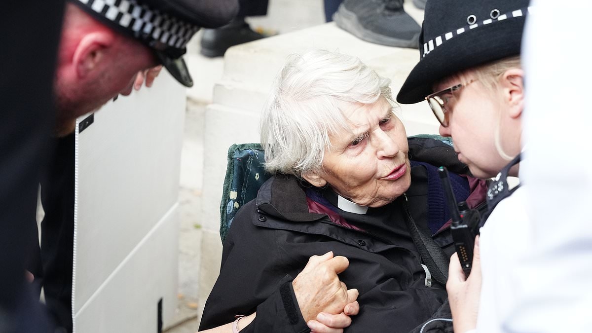 Met Police arrest Palestine Action protesters as they hold demo one day after group was banned as terrorist organisation