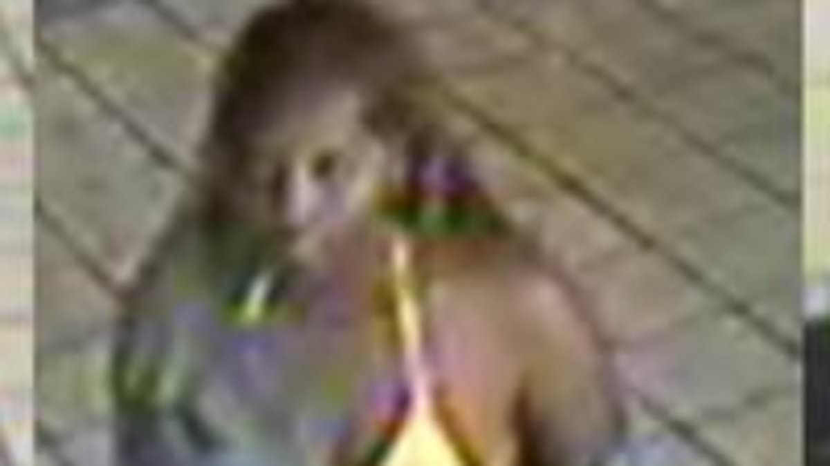 Bikini-clad girls are hunted by police after thugs attack off-duty police officer and throw drink over her when she tries to stop them barge through barriers without paying