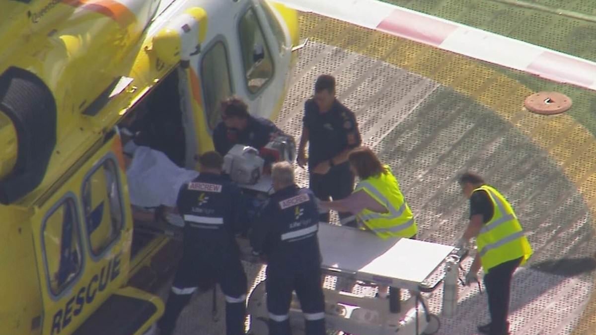 Woman suffers severe arm injury after being mauled by lion in Aussie zoo