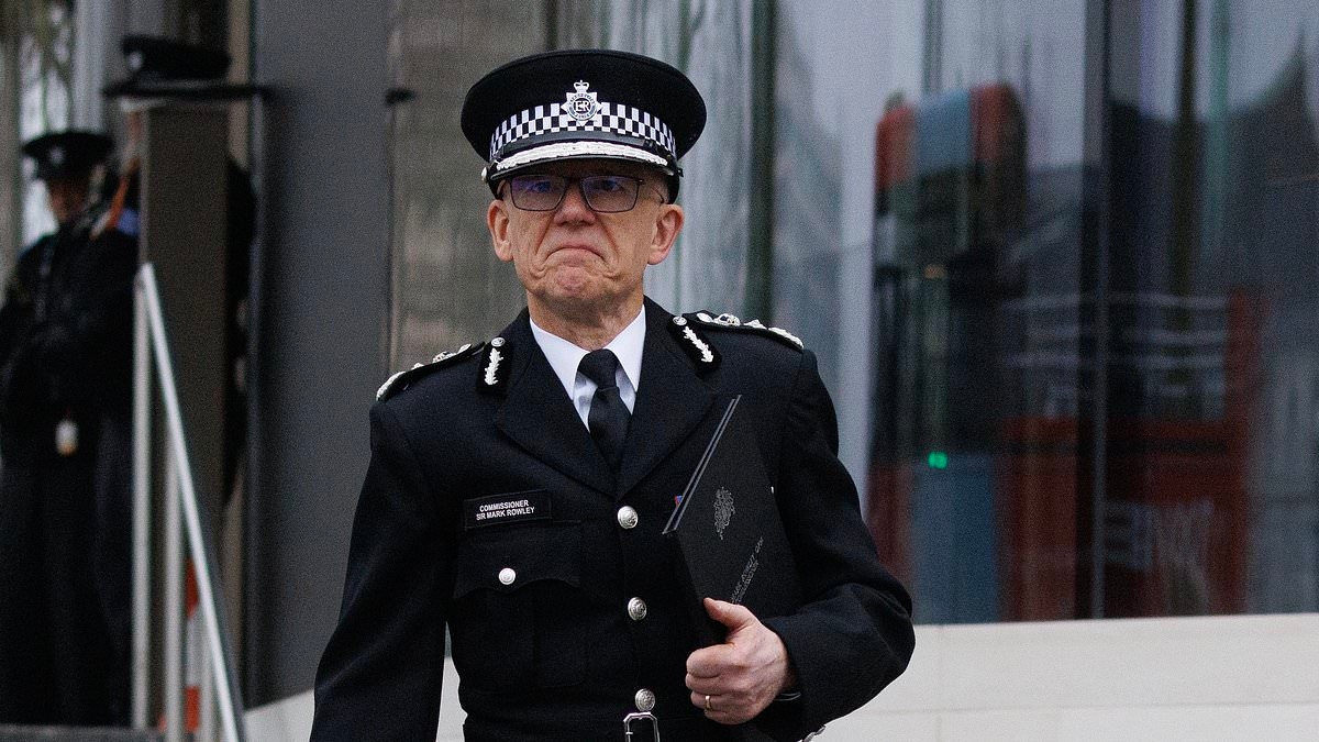 Met commissioner calls for the axing of 43 county constabularies and the forming of '12 mega forces'