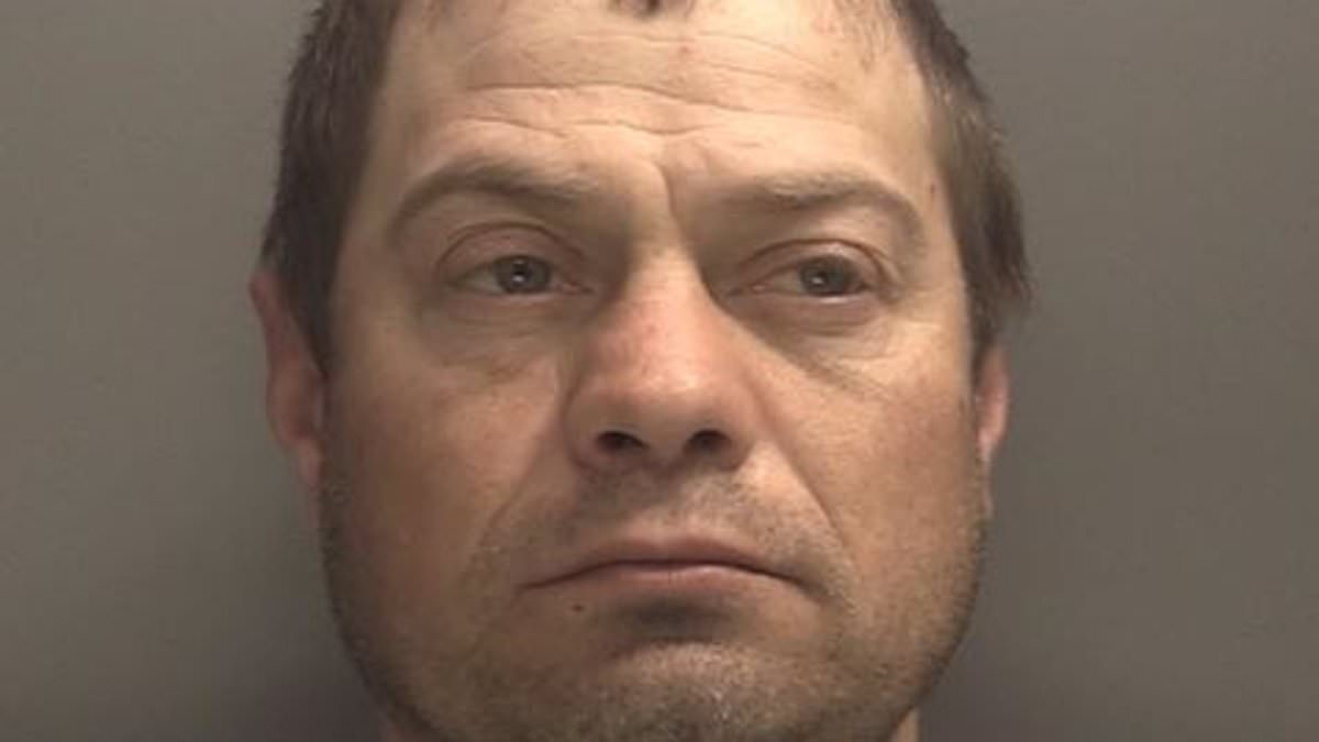 Partygoer who killed man who made a pass at him is jailed for ANOTHER murder after he throttled his cell-mate to death while on remand