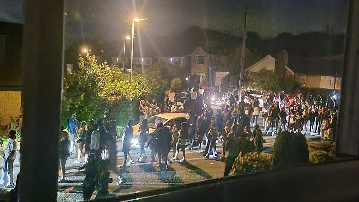 Holiday home is trashed after gender-reveal party turns into 200-people drunken rampage