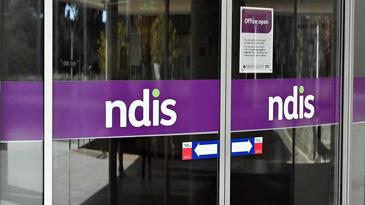 Urgent NDIS warning issued that 10,000 vulnerable children will lose access to services: 'Tip of the iceberg'