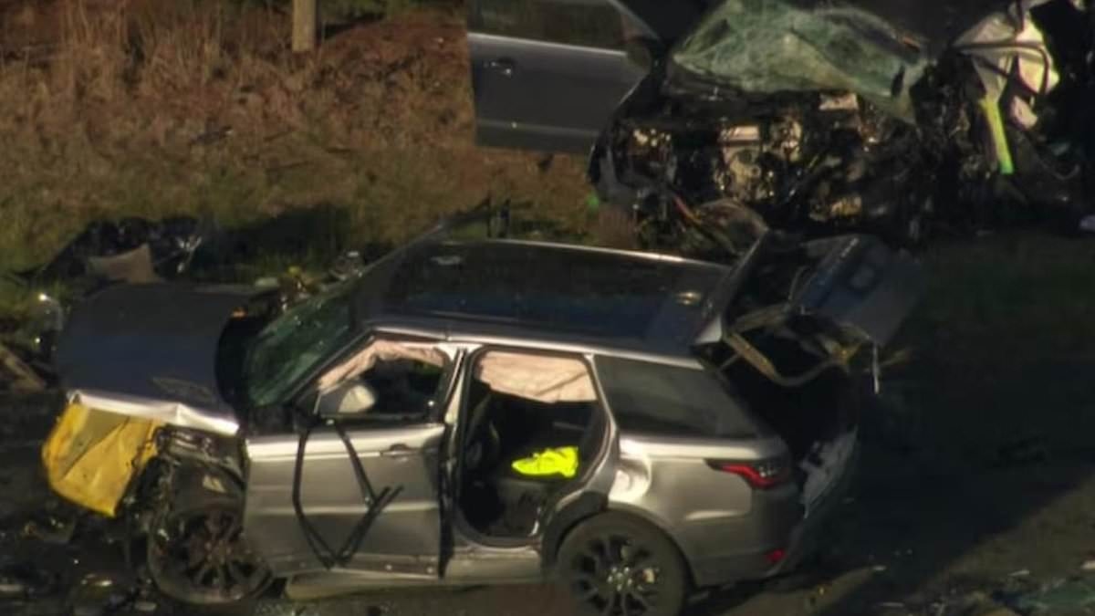 Kangaroo on road could have caused triple-fatal crash