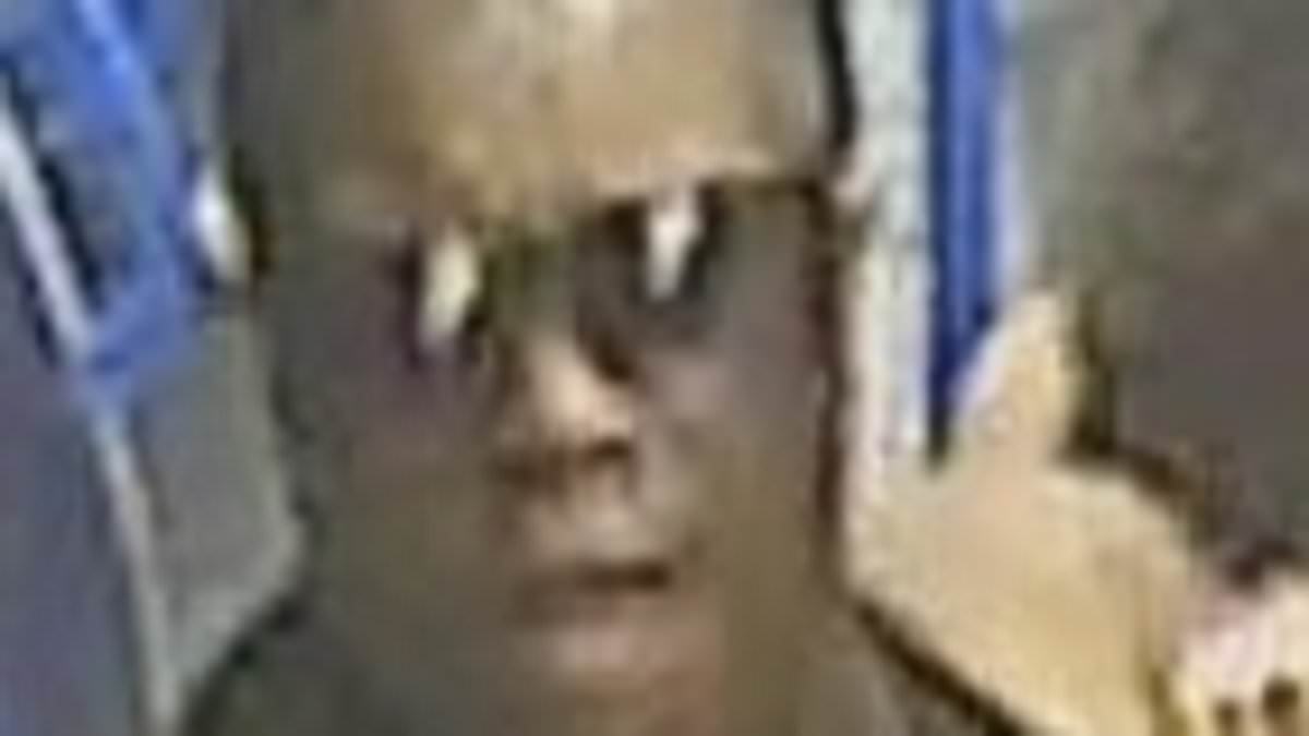 Police release CCTV of woman after man is stabbed in the chest with a broken glass bottle on a train