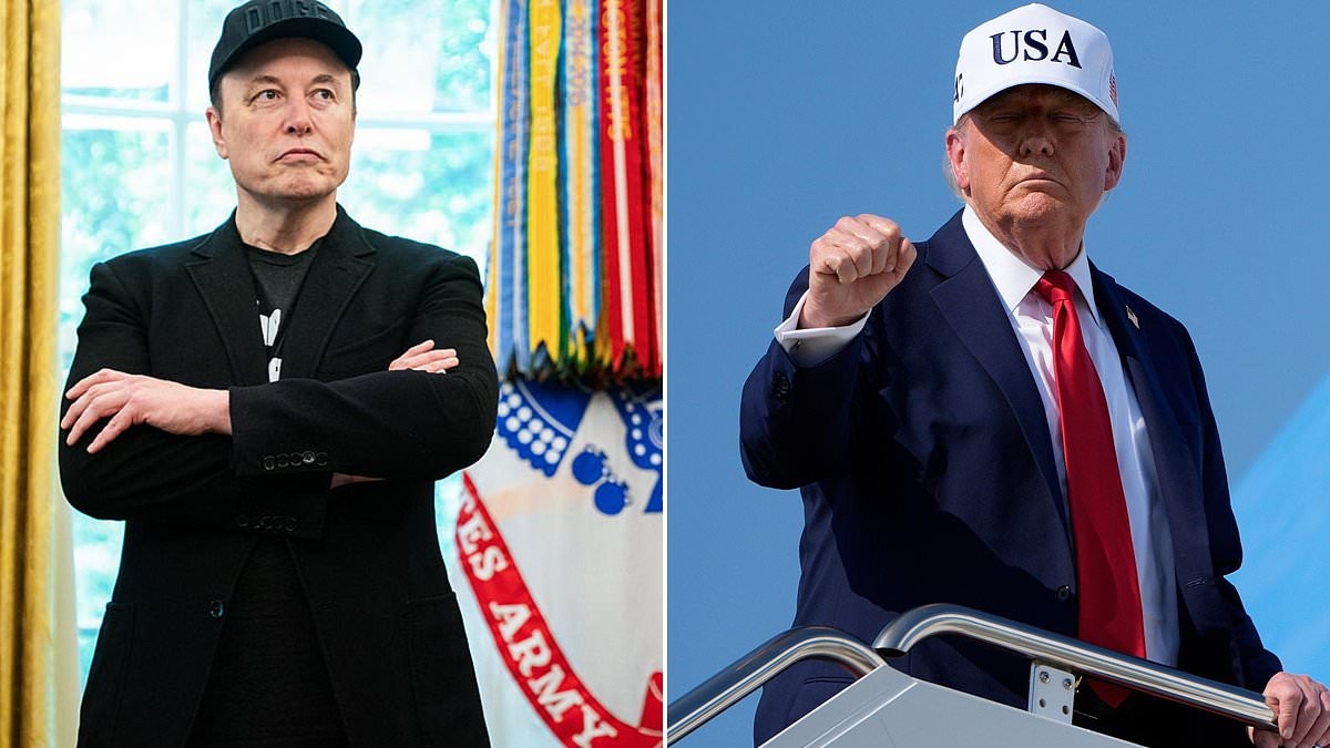 Elon Musk's plot to undermine Trump ignites fury