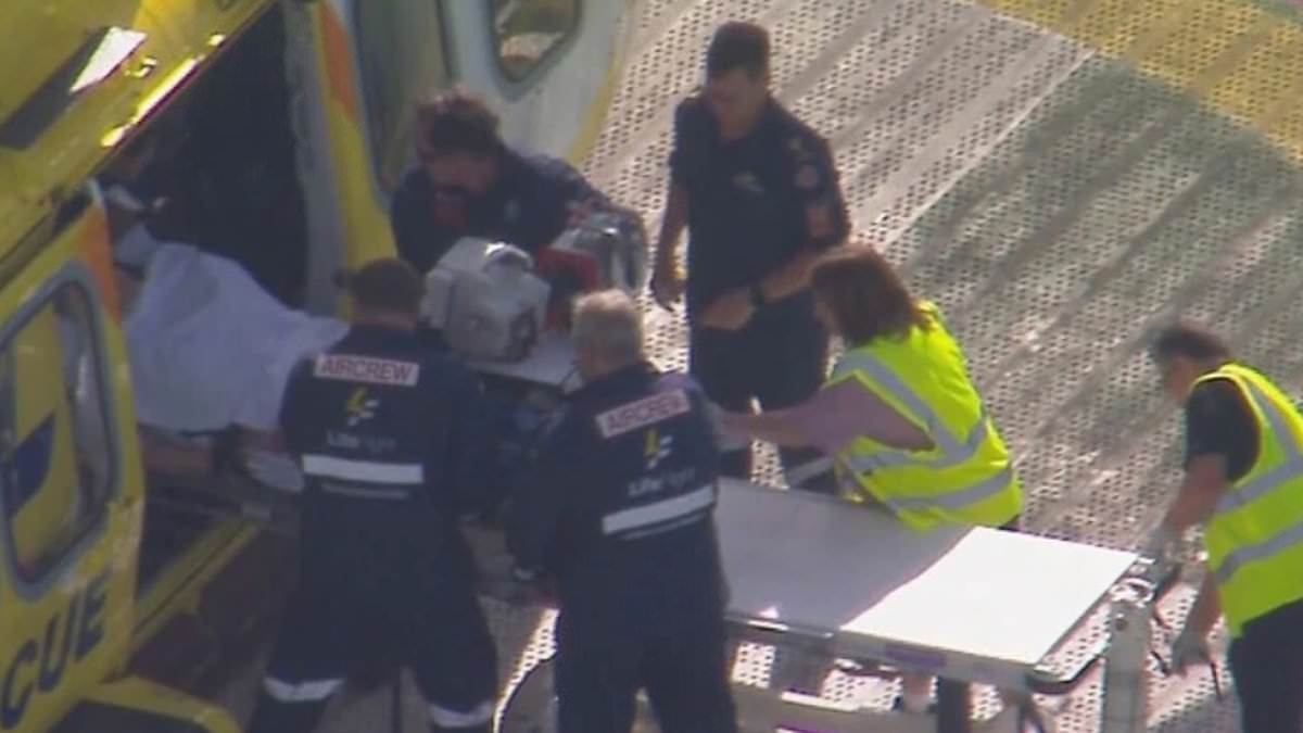 New details emerge as woman loses her arm after being attacked by a lion at Darling Downs Zoo