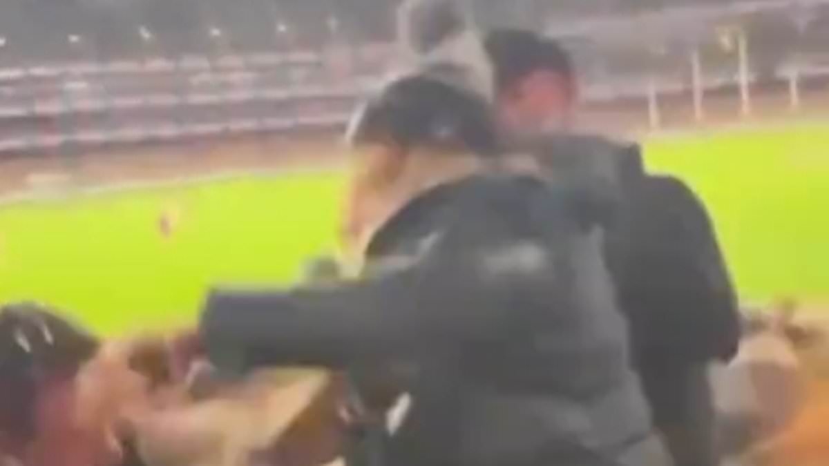 See the shocking moment a man and woman get into a physical clash at AFL match - even though they support the same team