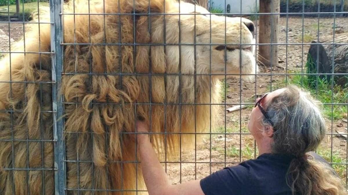 Alarming photos emerge from Darling Downs Zoo after woman was attacked by a lion and had her arm ripped off