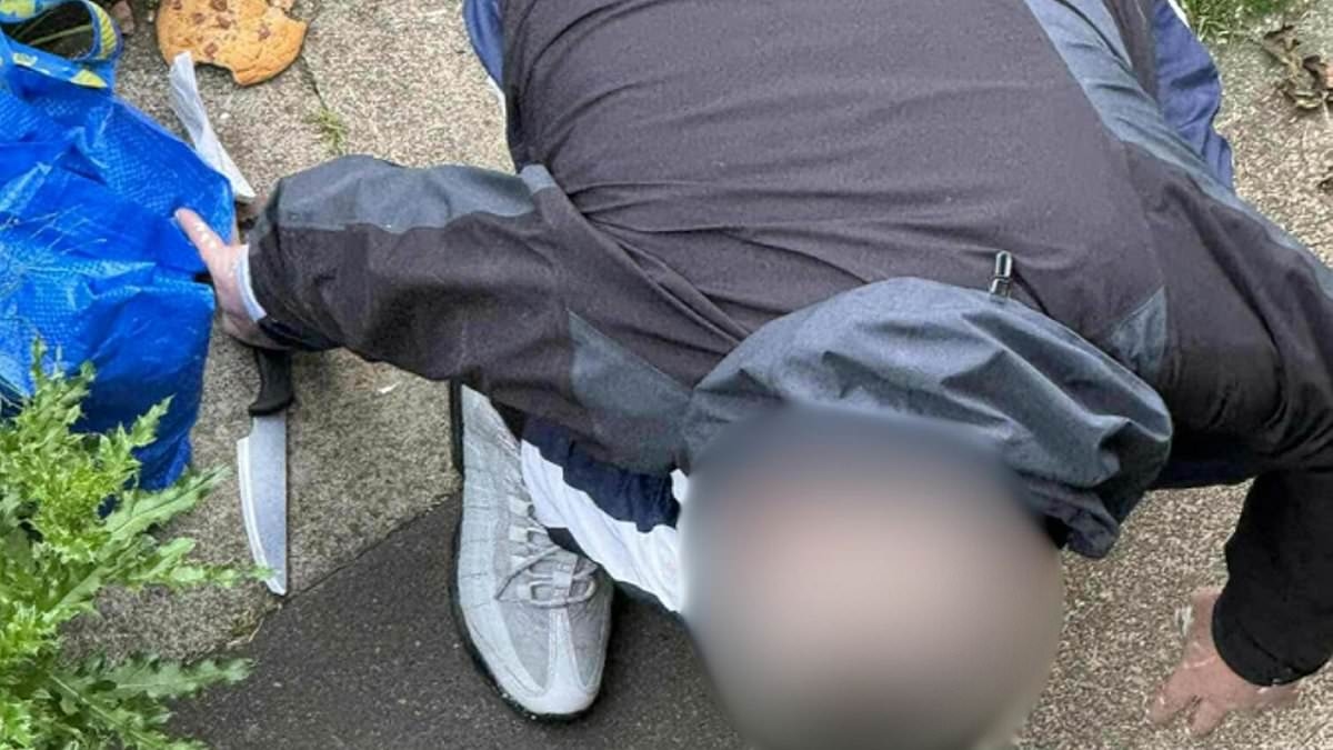Moment 'nightmare' neighbour brandishes knife outside flat as terrified resident begs council to move her from crime-ridden estate