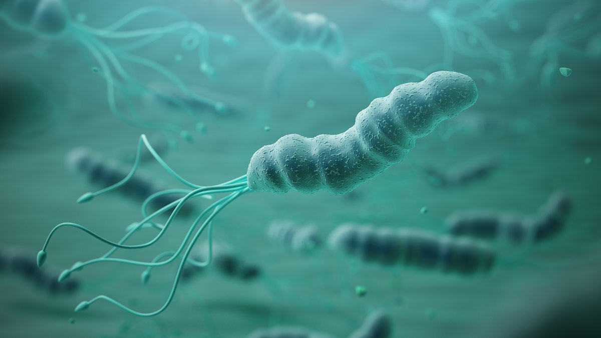 Doctors warn millions of people will be diagnosed with stomach cancer because of common infection