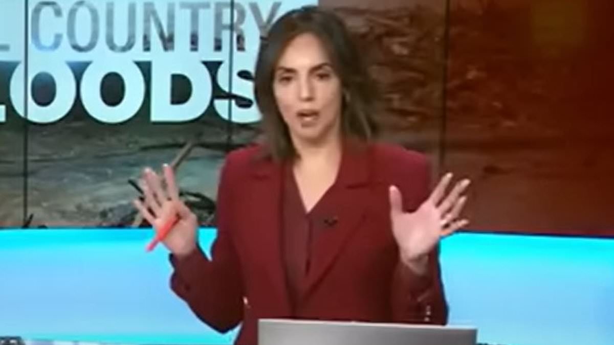 Texas news anchor's blistering on-air attack on Kristi Noem and Greg Abbott over flood press conference
