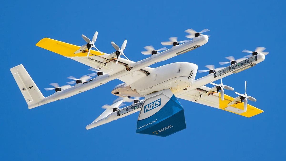 EXCLUSIVE NHS plot to fly hundreds of drones a week over Kensington Palace, Hyde Park and Oxford Circus branded 'crazy' by worried Londoners scared they might CRASH or cause disruption