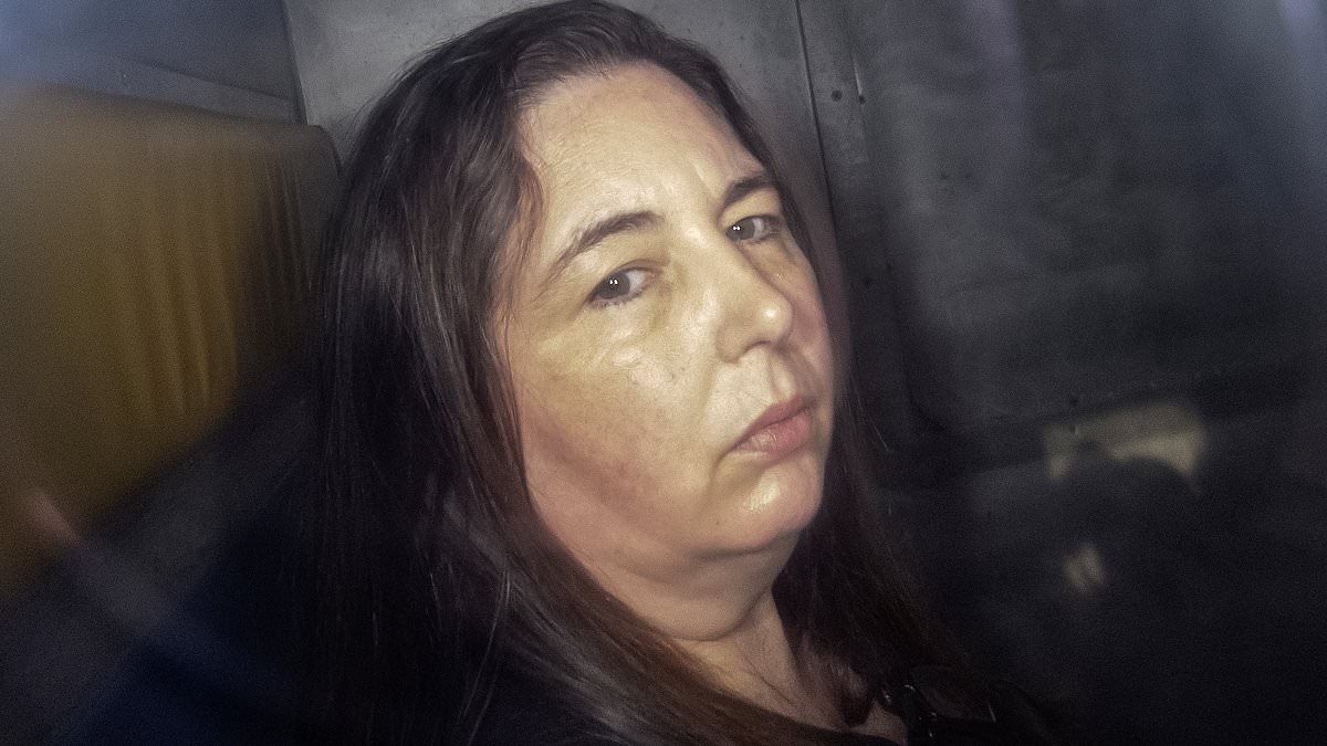 We have answers to most questions about Erin Patterson. But THIS explosive camera footage raises an alarming mystery about her pink Samsung